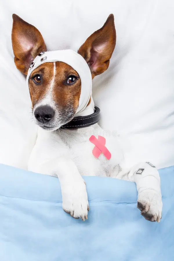 Picture for category Wound Care
